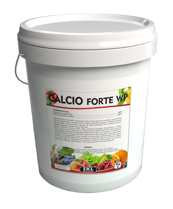 CALCIO FORTE ? 400