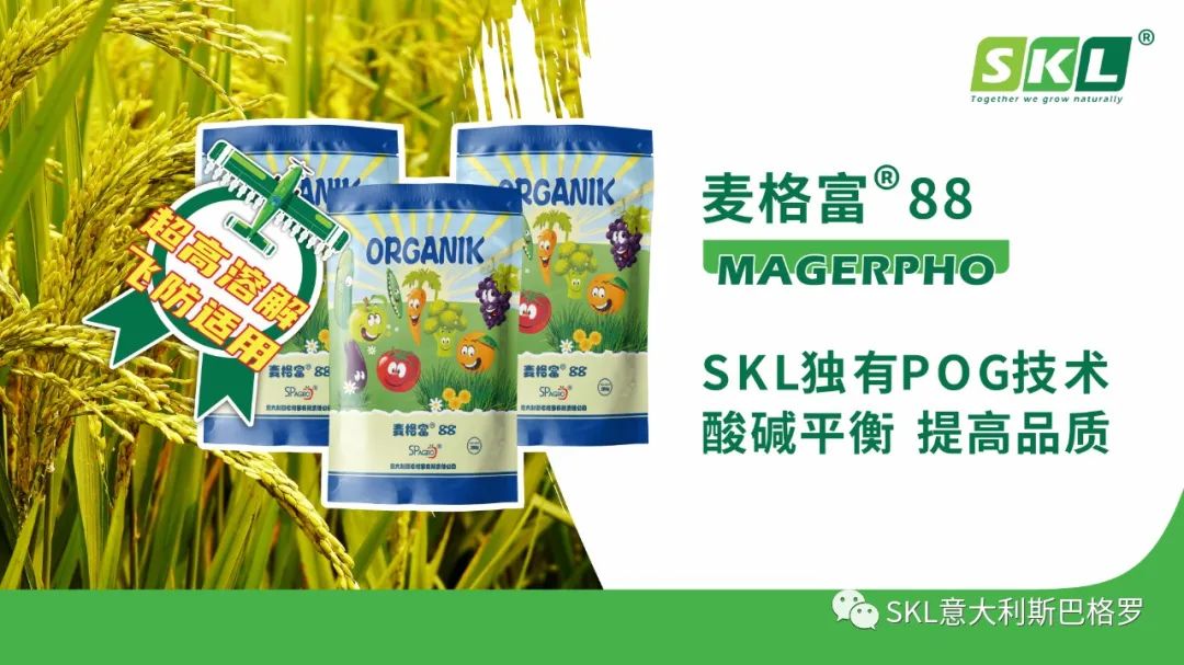 【黑龍江植保會CT60】斯巴格羅實(shí)力圈粉！好評如潮?。。?圖2)
