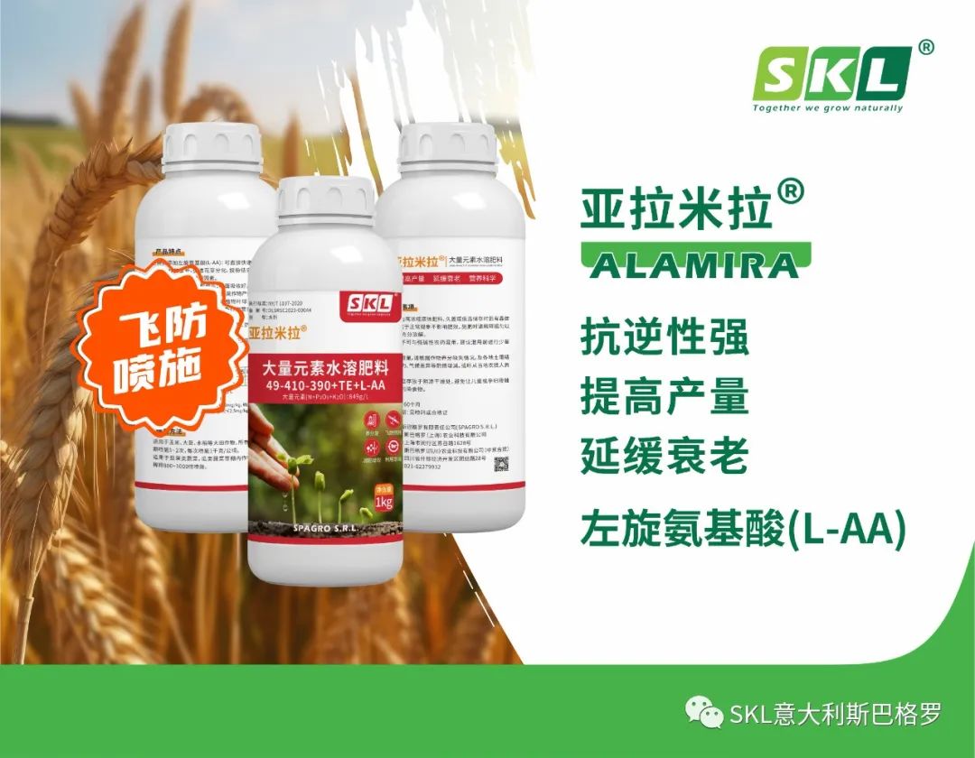 【黑龍江植保會CT60】斯巴格羅實(shí)力圈粉！好評如潮?。?！(圖4)