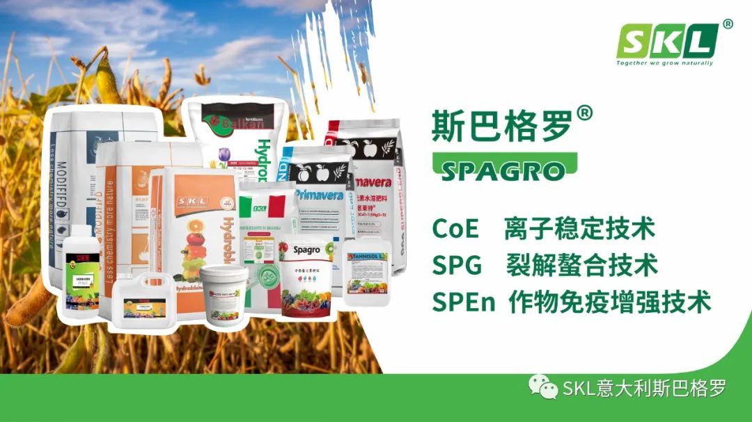 【黑龍江植保會CT60】斯巴格羅實(shí)力圈粉！好評如潮?。?！(圖3)